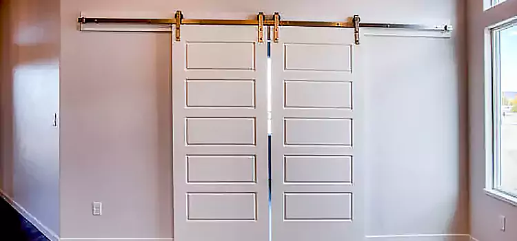 Glass Barn Door with Installation Hardware Kit Bethpage
