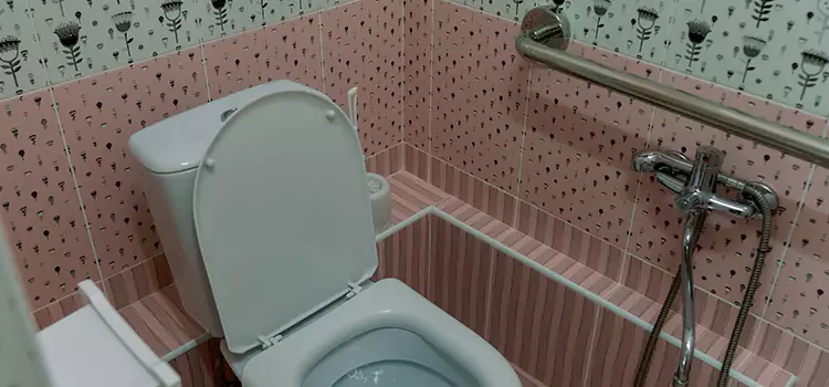 Meeting Diverse Needs With Accessible Restroom Solutions in Bethpage, NY