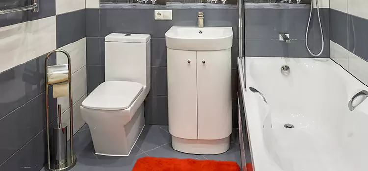 Hansgrohe Shaving Mirror Bethpage