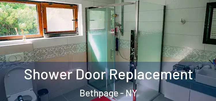  Shower Door Replacement Bethpage - NY